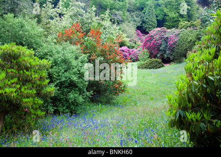 Trebah Garten; Cornwall; am Abend Stockfoto