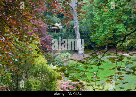 Trebah Garten; Cornwall; am Abend Stockfoto