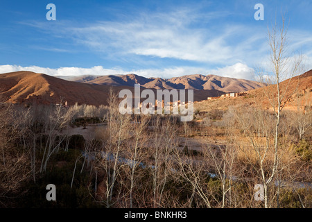 Blick auf Dades Gorges und Kasbah Ait Arbi, Dades Valley, Zentralmarokko Stockfoto