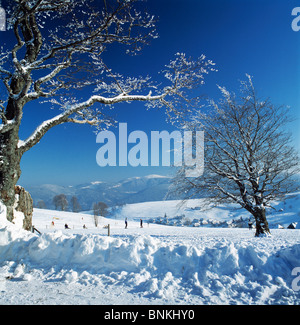 Deutschland Freiburg im Brei Region Dreisam Maische Region oberen Rhein Schwarzwald Baden-Württemberg Winterlandschaft Schauinsland Stockfoto