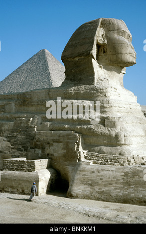 Ein Hausmeister ist durch die große Sphinx von Gizeh in den Schatten gestellt. Die Pyramide von Khufu (Cheops) ist auf der Rückseite gesehen. Stockfoto