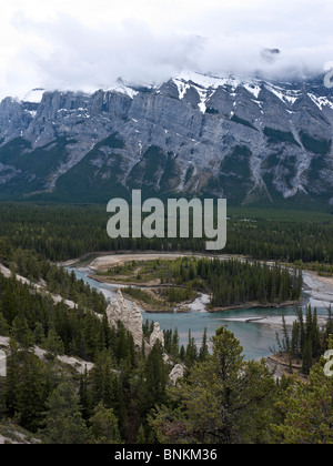 Hoodoo Felsstrukturen entlang des Bow River im Banff-Nationalpark Alberta Kanada Stockfoto