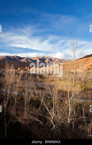 Blick auf Dades Gorges und Kasbah Ait Arbi, Dades Valley, Zentralmarokko Stockfoto