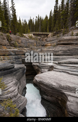 Mistaya Canyon in der Nähe von Icefields Parkway-Banff Nationalpark-Kanada Stockfoto