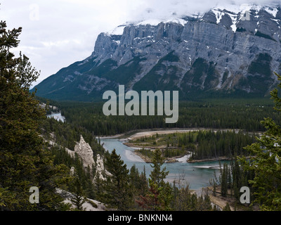 Hoodoo Felsstrukturen entlang des Bow River im Banff-Nationalpark Alberta Kanada Stockfoto