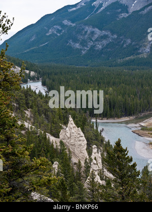Hoodoo Felsstrukturen entlang des Bow River im Banff-Nationalpark Alberta Kanada Stockfoto