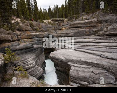 Mistaya Canyon in der Nähe von Icefields Parkway-Banff Nationalpark-Kanada Stockfoto