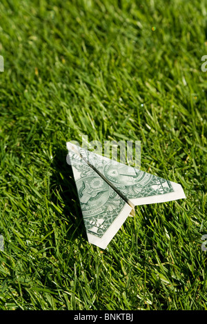 US-Dollar Flugzeug und grünen Rasen, Konzept der Erhaltung der Umwelt Stockfoto