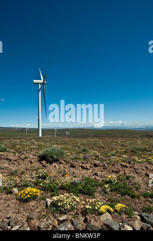 Riesigen Windkraftanlagen auf einem Bergrücken Stockfoto