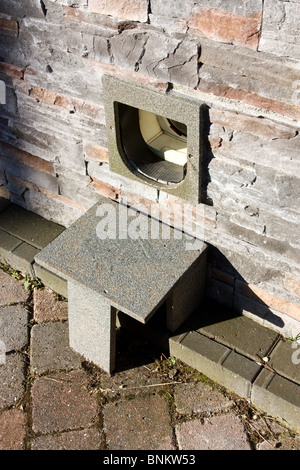 Haustier Schritt gemalt, um Stein Vorfeld eine Katzenklappe auf einem inländischen Haus aussehen. Stockfoto