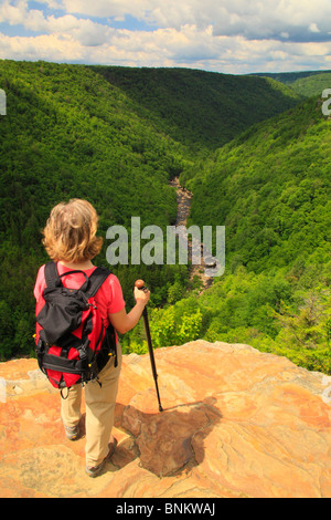 Wanderer sieht in Blackwater River Canyon von Pendleton Punkt übersehen, Blackwater Falls State Park, Davis, West Virginia, USA Stockfoto