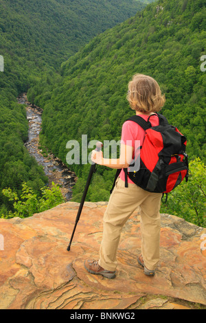 Wanderer sieht in Blackwater River Canyon von Pendleton Punkt übersehen, Blackwater Falls State Park, Davis, West Virginia, USA Stockfoto