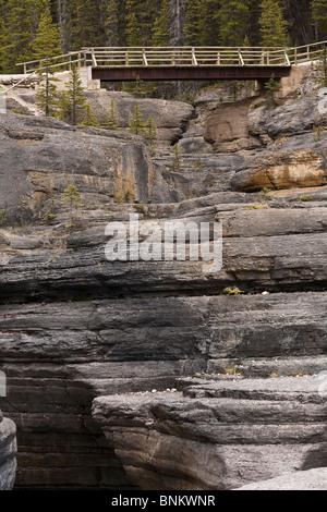 Mistaya Canyon in der Nähe von Icefields Parkway-Banff Nationalpark-Kanada Stockfoto