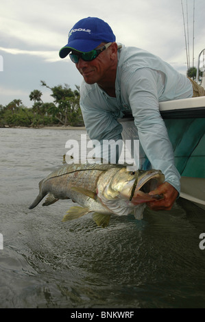 Inshore Angler hefts ein Riesen Snook gefangen in Florida Atlantic Intracoastal Waterway. Die Fische sind reichlich in der Indian River. Stockfoto