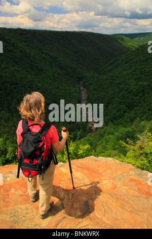 Wanderer sieht in Blackwater River Canyon von Pendleton Punkt übersehen, Blackwater Falls State Park, Davis, West Virginia, USA Stockfoto