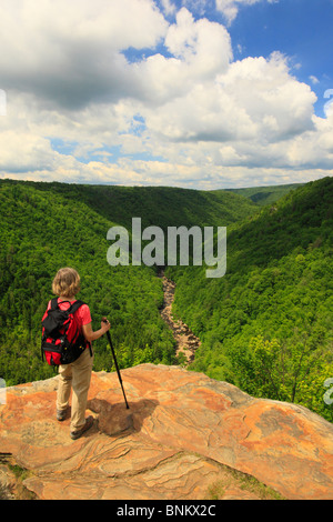 Wanderer sieht in Blackwater River Canyon von Pendleton Punkt übersehen, Blackwater Falls State Park, Davis, West Virginia, USA Stockfoto