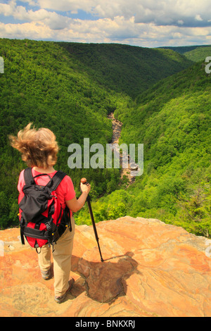 Wanderer sieht in Blackwater River Canyon von Pendleton Punkt übersehen, Blackwater Falls State Park, Davis, West Virginia, USA Stockfoto