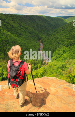 Wanderer sieht in Blackwater River Canyon von Pendleton Punkt übersehen, Blackwater Falls State Park, Davis, West Virginia, USA Stockfoto