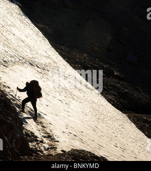 Ein Wanderer, die Sunrise Seite der Washington State Mount Rainier an einem klaren Tag Wandern Stockfoto