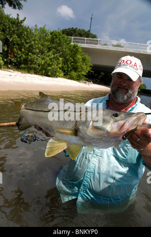 Inshore Angler hefts ein Riesen Snook gefangen in Florida Atlantic Intracoastal Waterway. Die Fische sind reichlich in der Indian River. Stockfoto