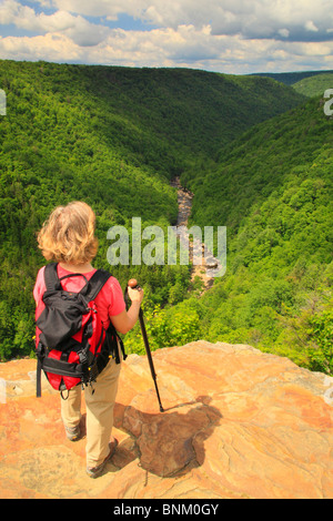 Wanderer sieht in Blackwater River Canyon von Pendleton Punkt übersehen, Blackwater Falls State Park, Davis, West Virginia, USA Stockfoto