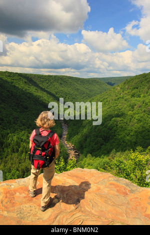 Wanderer sieht in Blackwater River Canyon von Pendleton Punkt übersehen, Blackwater Falls State Park, Davis, West Virginia, USA Stockfoto