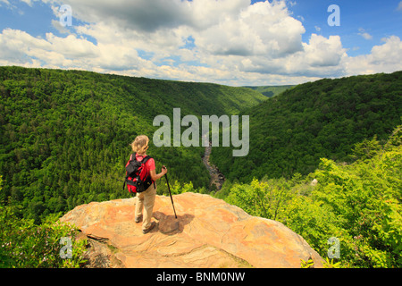 Wanderer sieht in Blackwater River Canyon von Pendleton Punkt übersehen, Blackwater Falls State Park, Davis, West Virginia, USA Stockfoto