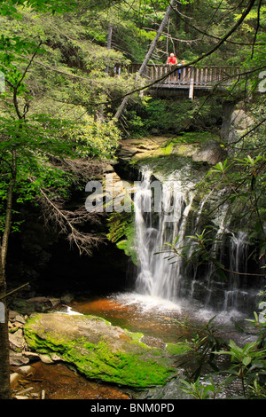 Wanderer halten auf der Brücke Sie über Elakala Wasserfälle in Blackwater Falls State Park, Davis, West Virginia, USA Stockfoto