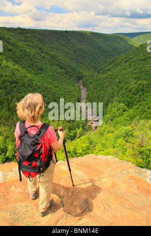 Wanderer sieht in Blackwater River Canyon von Pendleton Punkt übersehen, Blackwater Falls State Park, Davis, West Virginia, USA Stockfoto