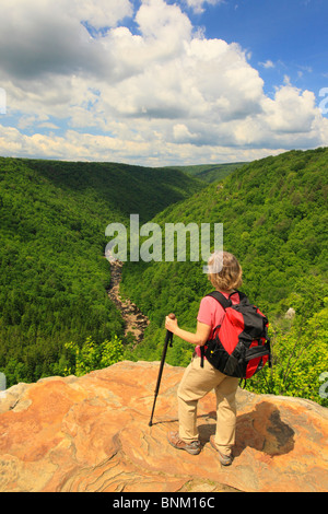 Wanderer sieht in Blackwater River Canyon von Pendleton Punkt übersehen, Blackwater Falls State Park, Davis, West Virginia, USA Stockfoto