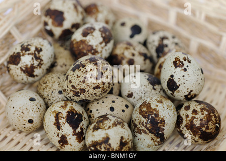 Frische Wachteleier in einem Korb Stockfoto