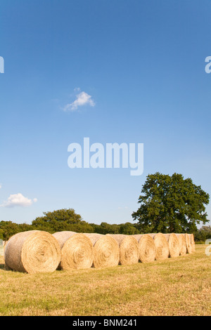 Strohballen auf der Wiese, Wiltshire, England Stockfoto