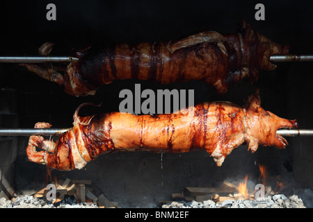 Schweine auf dem grill Stockfoto