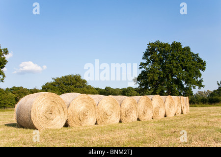 Strohballen auf der Wiese, Wiltshire, England Stockfoto