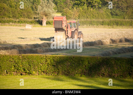 Heu machen auf einem Bauernhof, Wiltshire, England Stockfoto