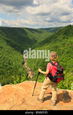 Wanderer sieht in Blackwater River Canyon von Pendleton Punkt übersehen, Blackwater Falls State Park, Davis, West Virginia, USA Stockfoto