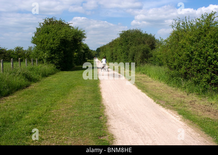 die Greenway - stillgelegten Eisenbahnlinie jetzt ein Radweg. Stratford-upon-Avon Warwickshire. landwirtschaftliche Flächen Stockfoto