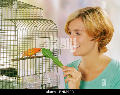 Frau, Fütterung einen Kanarienvogel in einem Käfig Stockfoto