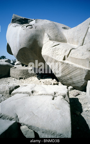 Koloss des Ramses II im Ramesseum in der thebanischen Nekropole auf der Westbank von Luxor in Ägypten gefallen. Stockfoto