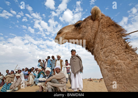 Kamel und Männer. Sam Sanddünen. In der Nähe von Jaisalmer. Rajasthan. Indien Stockfoto