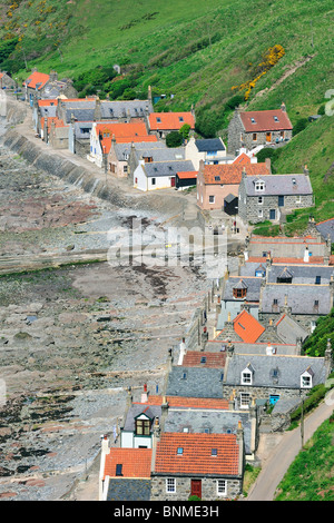 Crovie, einem kleinen Dorf auf einem schmalen Sims entlang des Meeres, bestehend aus einer einzigen Häuserzeile in Aberdeenshire, Schottland, Vereinigtes Königreich Stockfoto