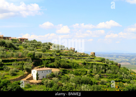 Italien, Toskana, Montalcino Stockfoto