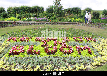 "Keswick in Bloom" Blumenbeet in Hope Park, Keswick, Cumbria, England, UK Stockfoto