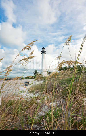 Cape Florida Lighthouse befindet sich in der Bill Baggs State Recreation Area. Key Biscayne, Florida Stockfoto