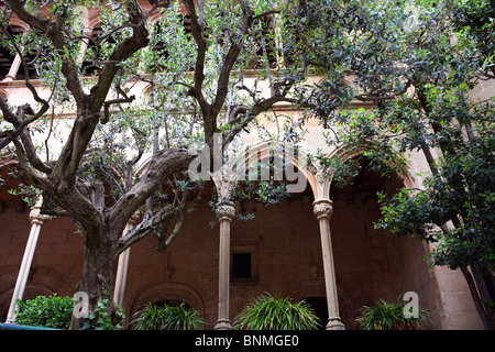 Montserrat (Wellenschliff Berg) liegt westlich von Barcelona in Katalonien, Spanien. Stockfoto