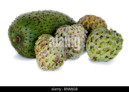 Custard Apple, Zucker-Apfel (Annona Squamosa), Graviola (Annona Muricata) und Atemoia, Obst auf weißem Hintergrund Stockfoto