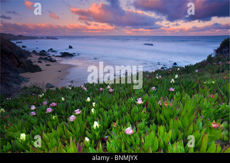 Big Sur Coast, Kalifornien, USA. Stockfoto