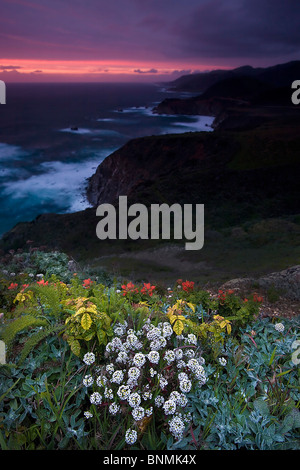 Big Sur Coast, Kalifornien, USA. Stockfoto