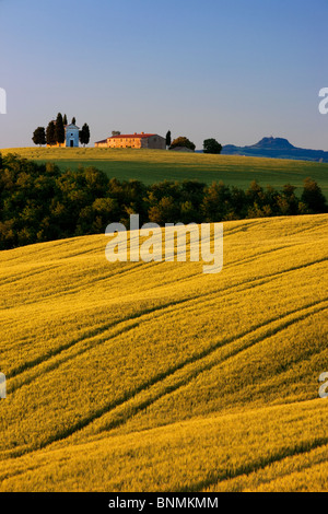 Am frühen Morgensonnenlicht auf die Cappella di Vitaleta und rollende Weizenfelder der Toskana in der Nähe von San Quirico d ' Orcia, Italien Stockfoto