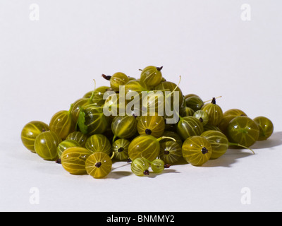 Stachelbeeren Stockfoto